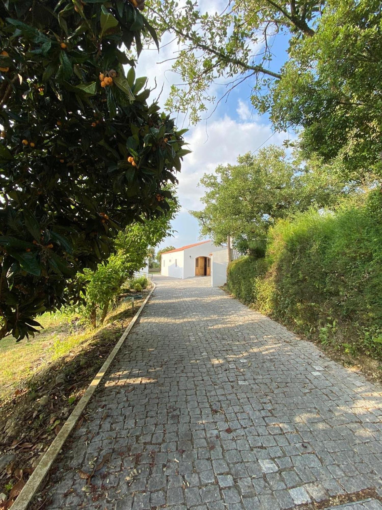 Quinta Boa Vida Villa Alcobaca Ngoại thất bức ảnh